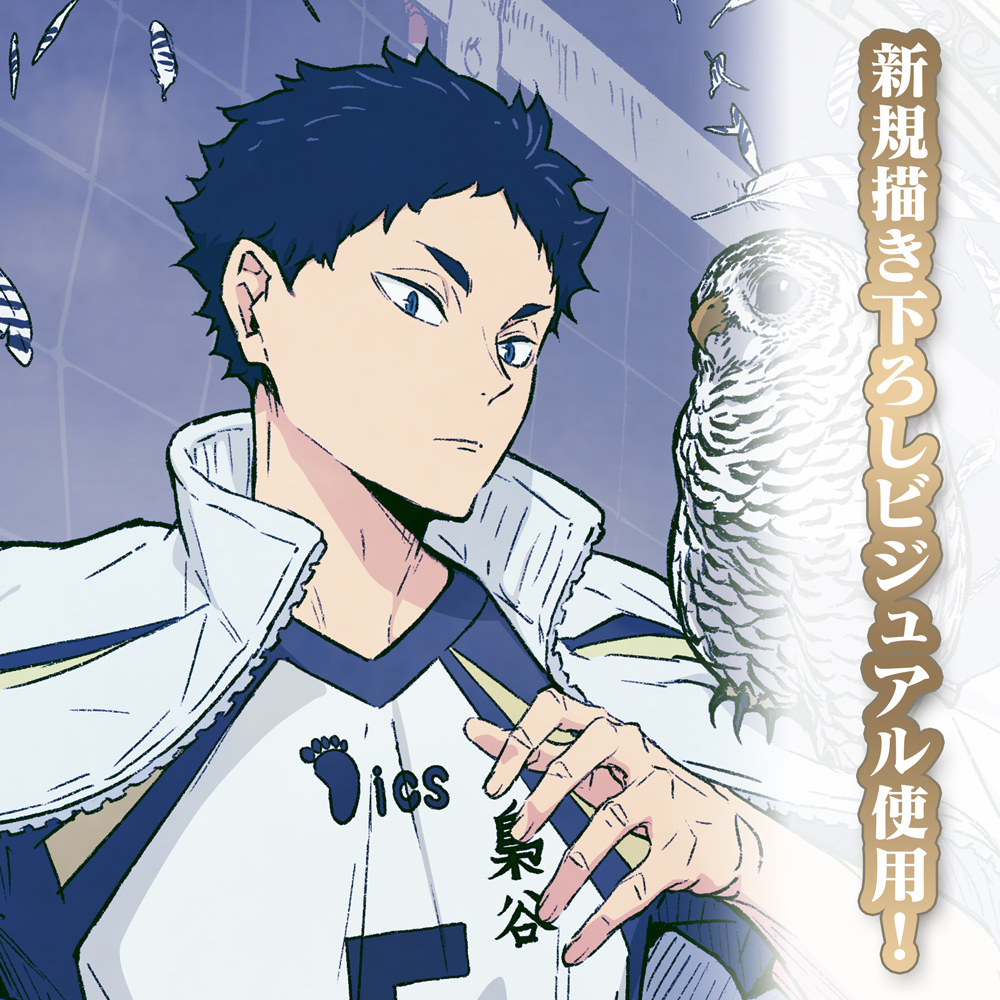 描き下ろし 赤葦京治 B2タペストリー 飛翔Ver. [ハイキュー