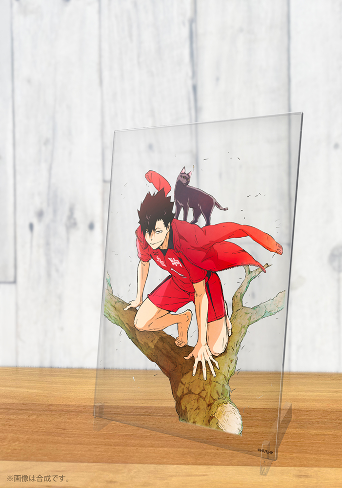 黒尾鉄朗 アクリルアートスタンド Ver.1.0 [ハイキュー!!] | 公式