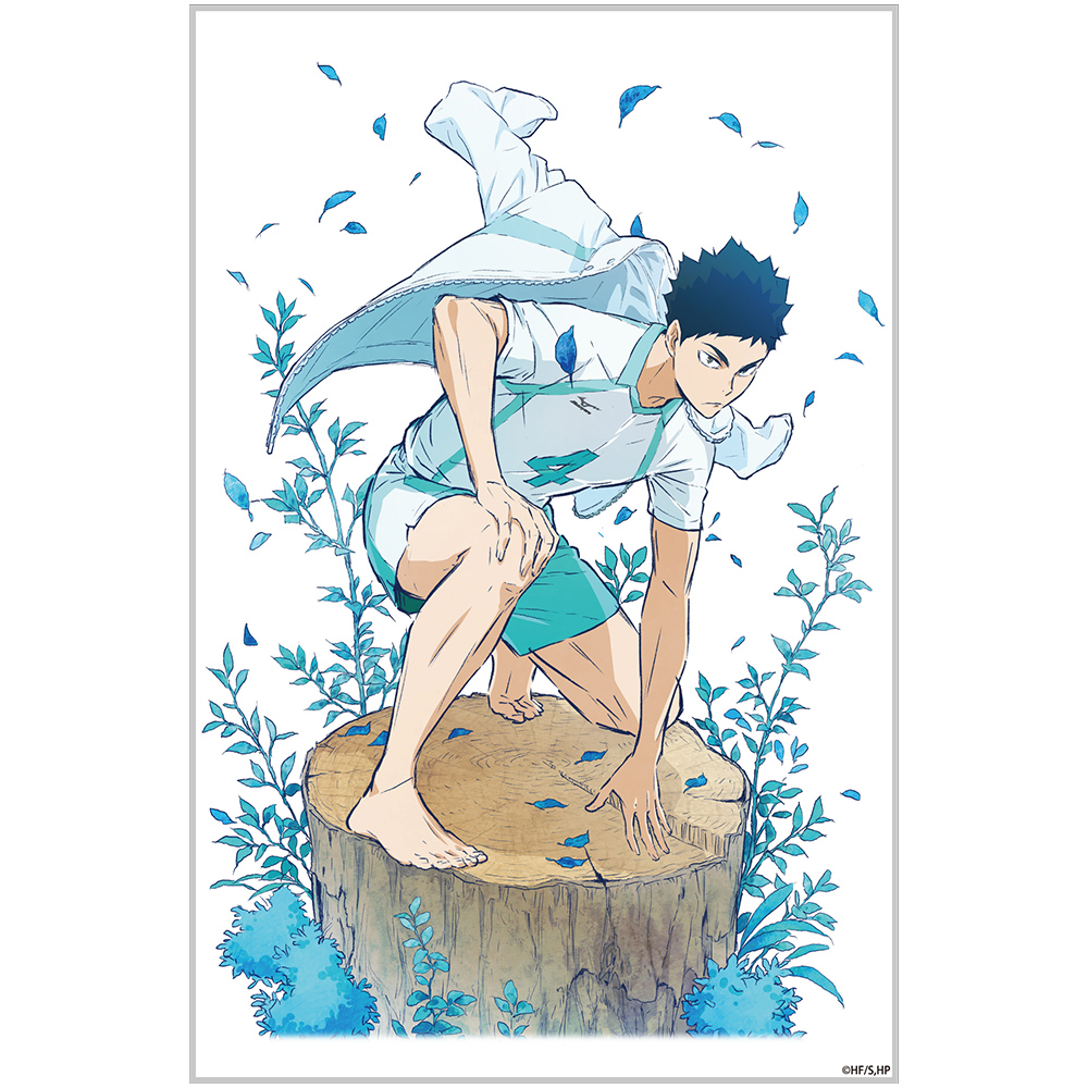 ハイキュー 岩泉一 ゼッケン にとたん ハイキュー 岩泉一 ゼッケン に