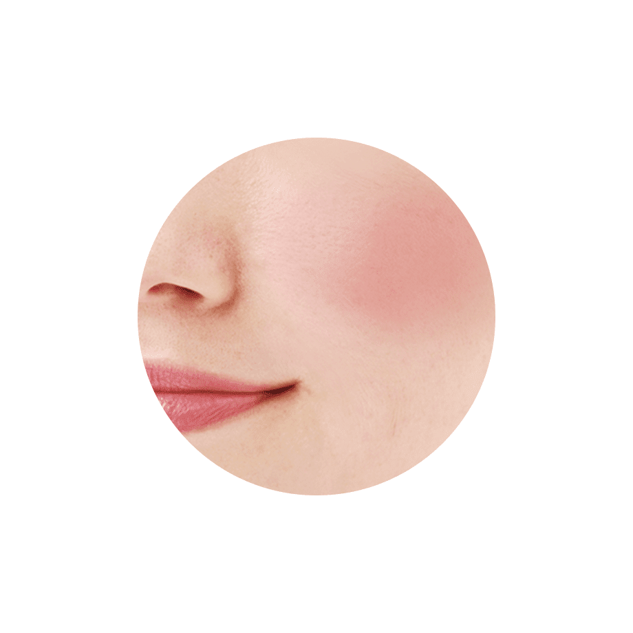 ナチュラル チークN：FACE | CEZANNE/セザンヌ化粧品