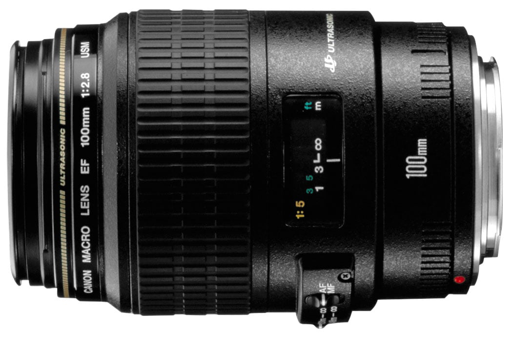 Canon EF 100mm f2.8 USM Macro | Cameralabs