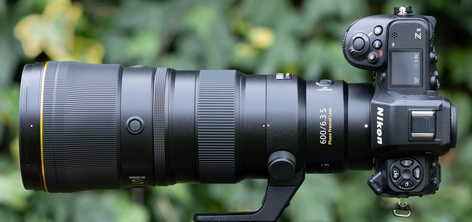 Nikon Z 600mm f6.3 VR S review | Cameralabs