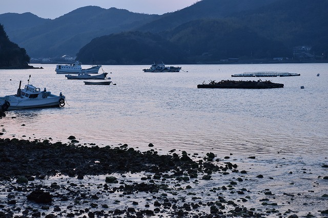 ニコン AF-S DX 18-140mm/F3.5-5.6G ED VR 使用レビュー