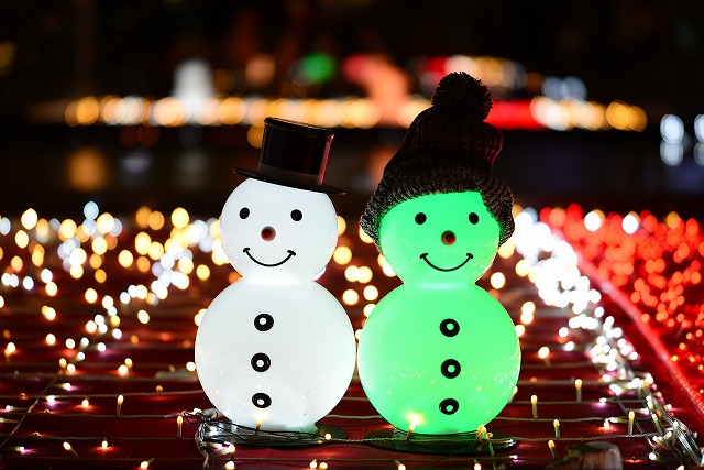 作例付き使用レビュー】ボケドリーマー？？【LAOWA 105mm F2 Bokeh