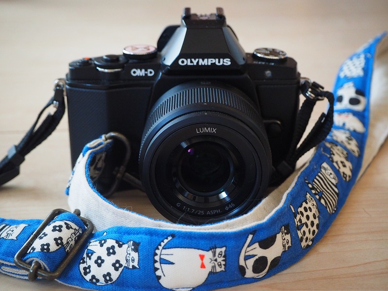 Panasonic LUMIX G25 mm/F1.7ASPH. ブラック カメラレンズ LUMIX G