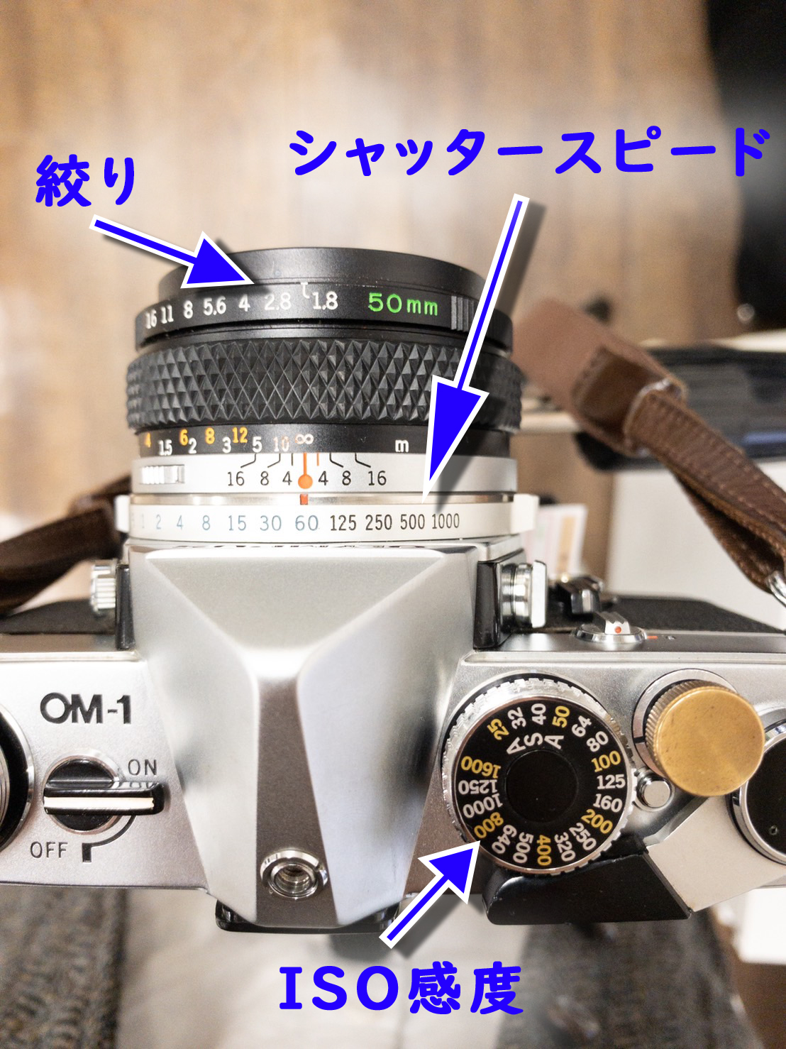 フィルムカメラ専門店の店員が教えるフィルムカメラ初心者にオススメ