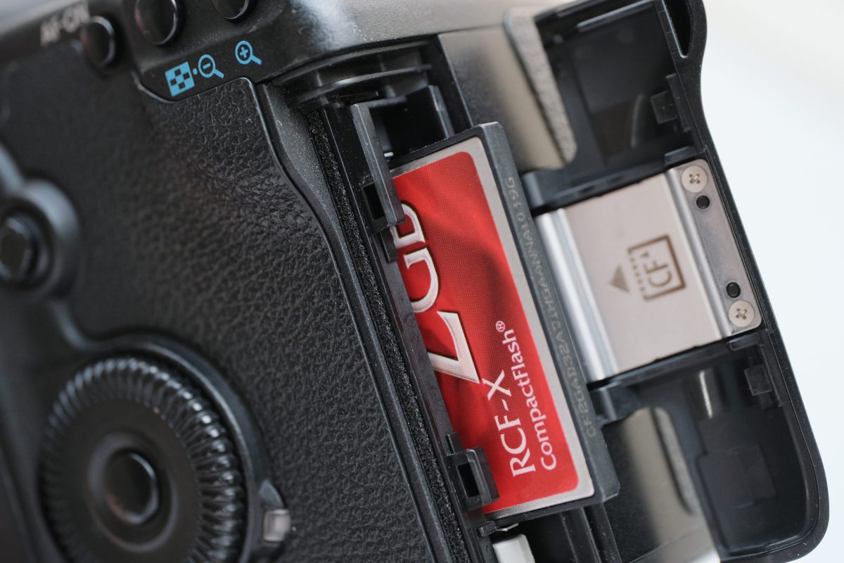 14年前のデジカメで写真を撮ってみた【EOS 5D Mark II】