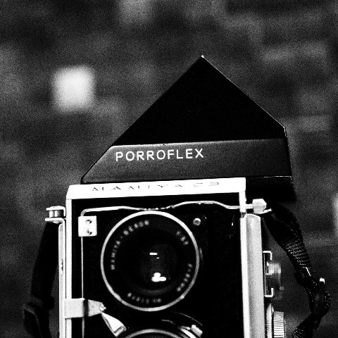 レンズ交換ができる二眼レフ マミヤC3プロフェッショナル 【兵庫の猫