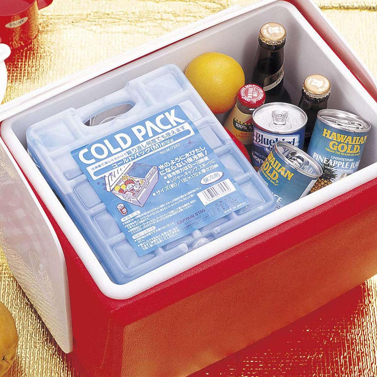 抗菌 コールドパック〈L〉1,000g - アウトドア・キャンプ用品