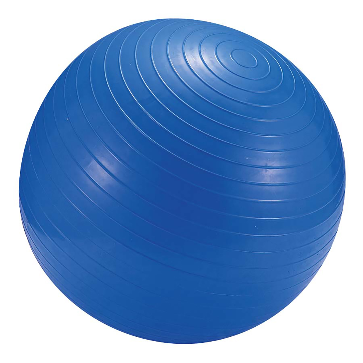 フィットネスボール 65cm〈ポンプ付〉(ブルー) - アウトドア・キャンプ