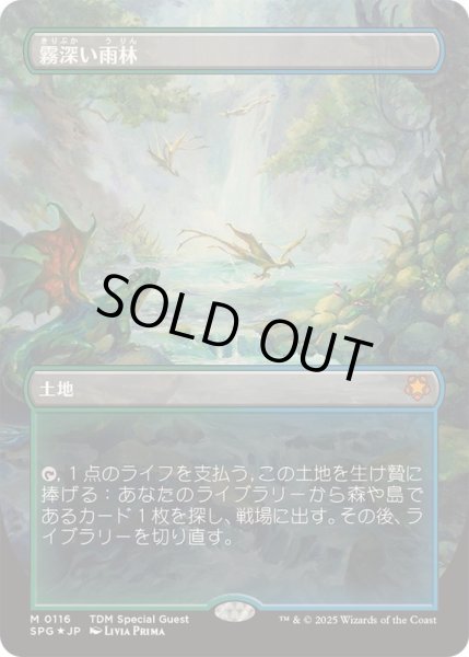 ドラゴンスケイルFOIL)霧深い雨林/Misty Rainforest《日本語》【SPG】