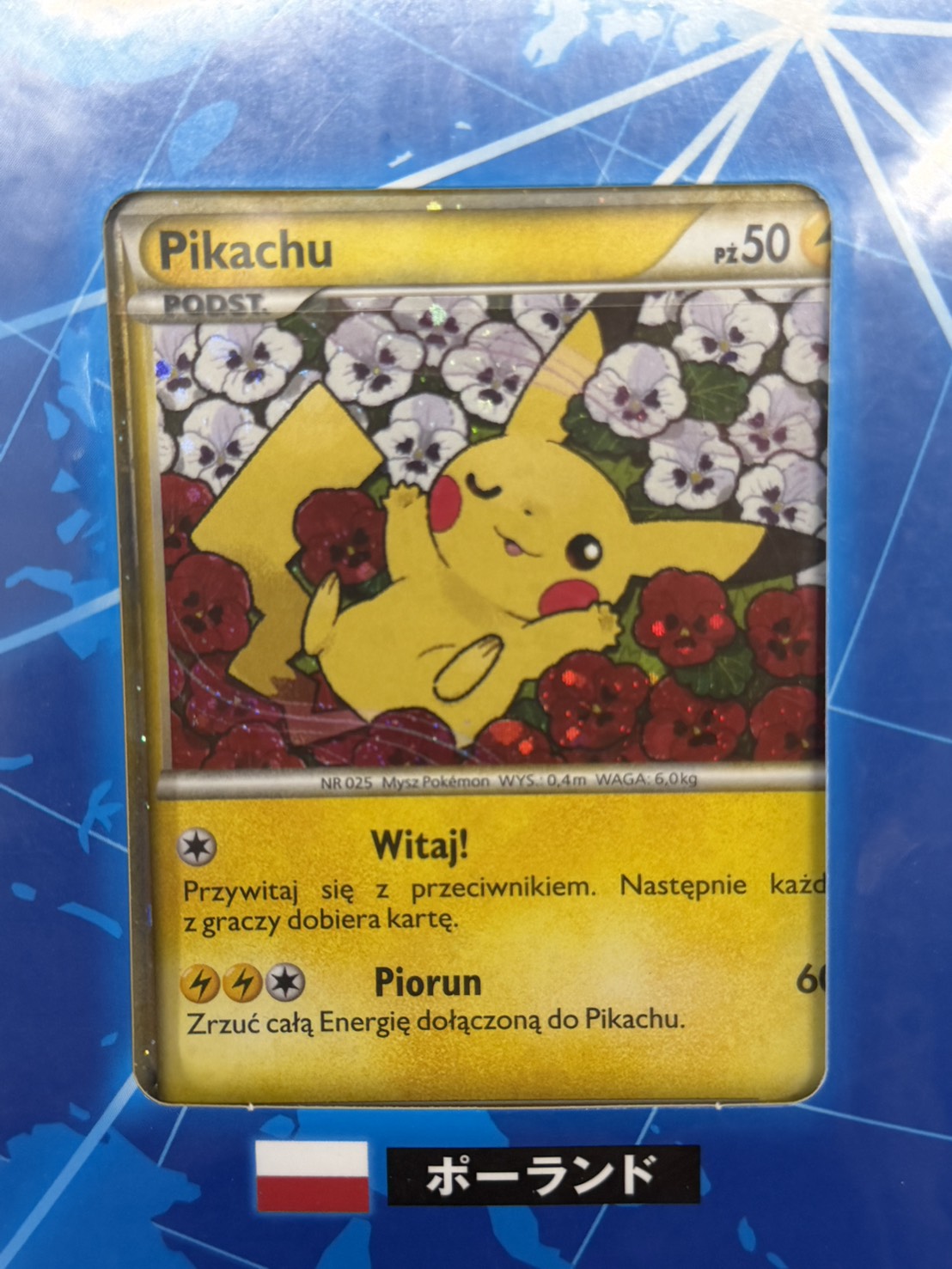 ポケモンカードゲーム ピカチュウ ワールド(PW)【未開封パック】{-}