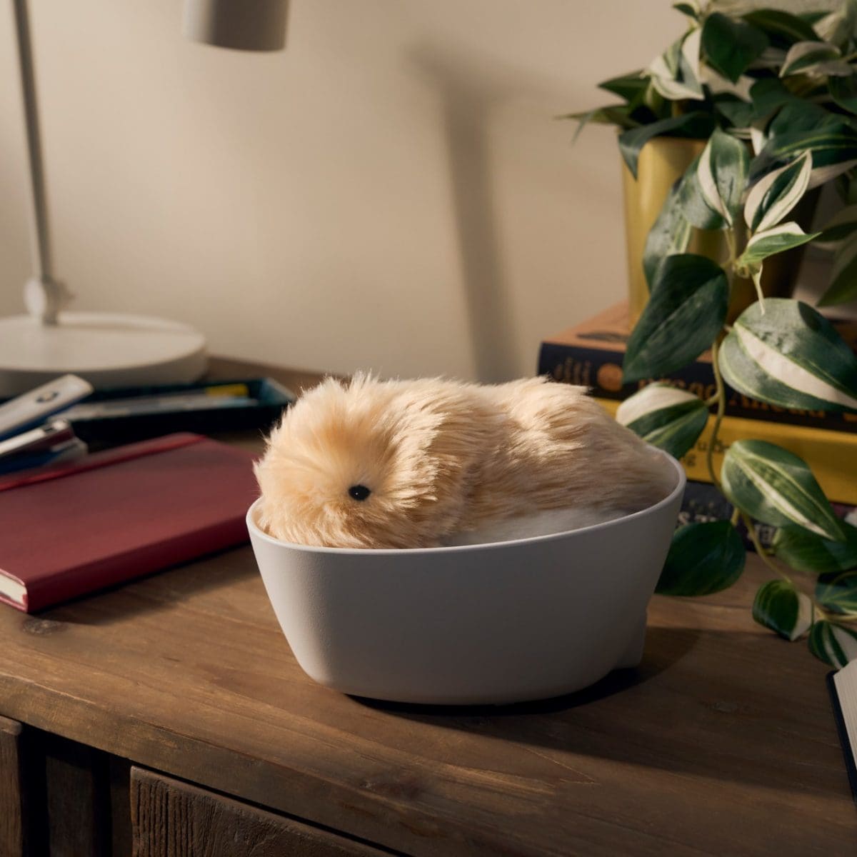 Moflin ( GOLD ) | CASIO