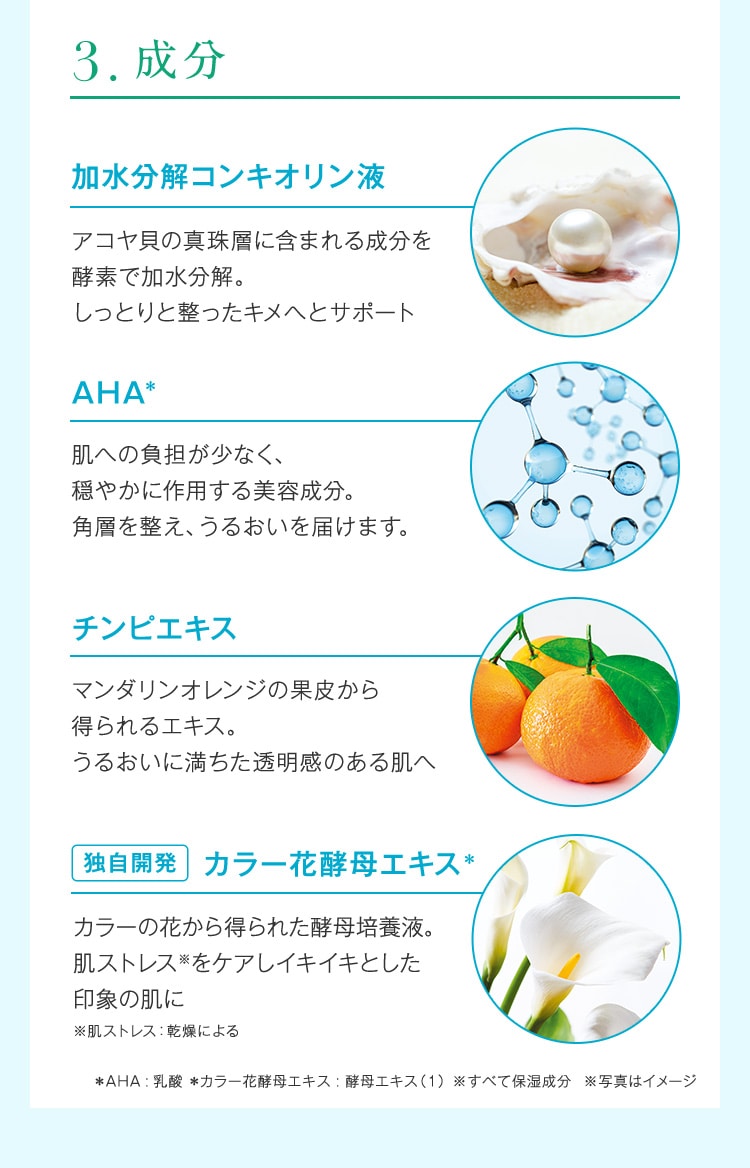 FPプログラム14a│【公式】シーボン（C'BON）ホームケア（化粧品）と