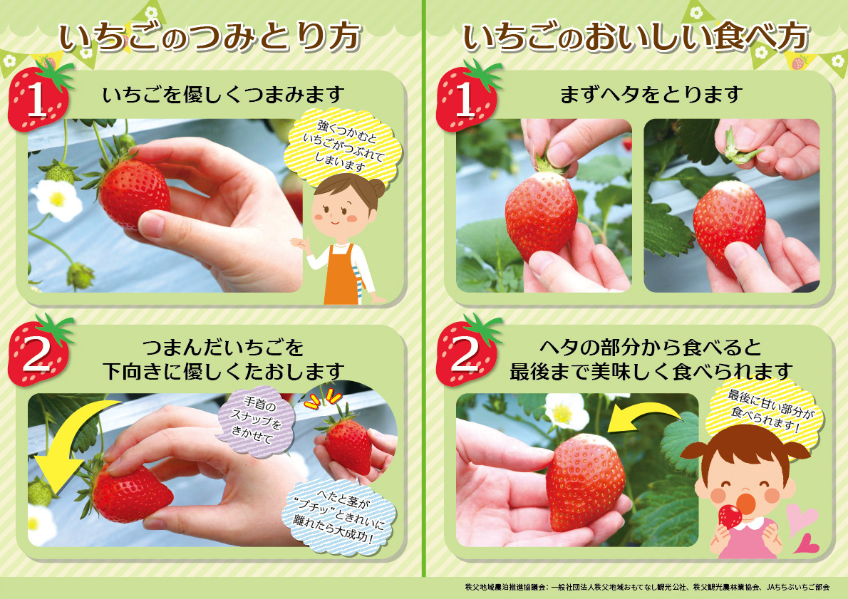 いちご農園 | 秩父観光農林業協会