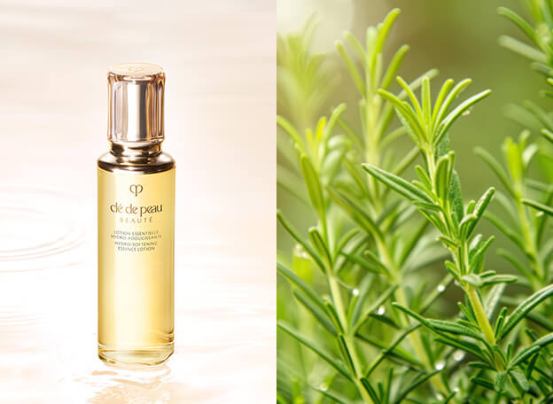 clé de peau BEAUTÉスキンケアサンプル化粧水&朝用乳液&夜用乳液 cle