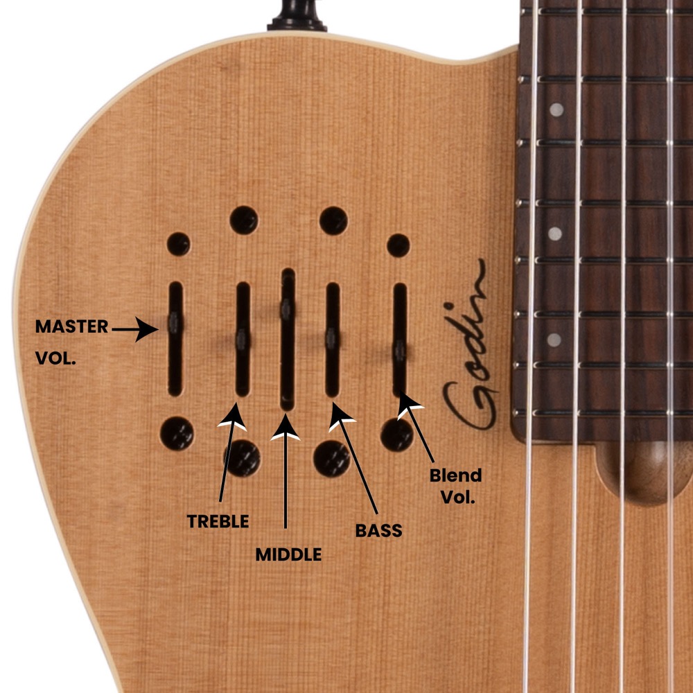 Godin ゴダン Multiac Nylon Encore Natural SG ナイロン弦 エレガット