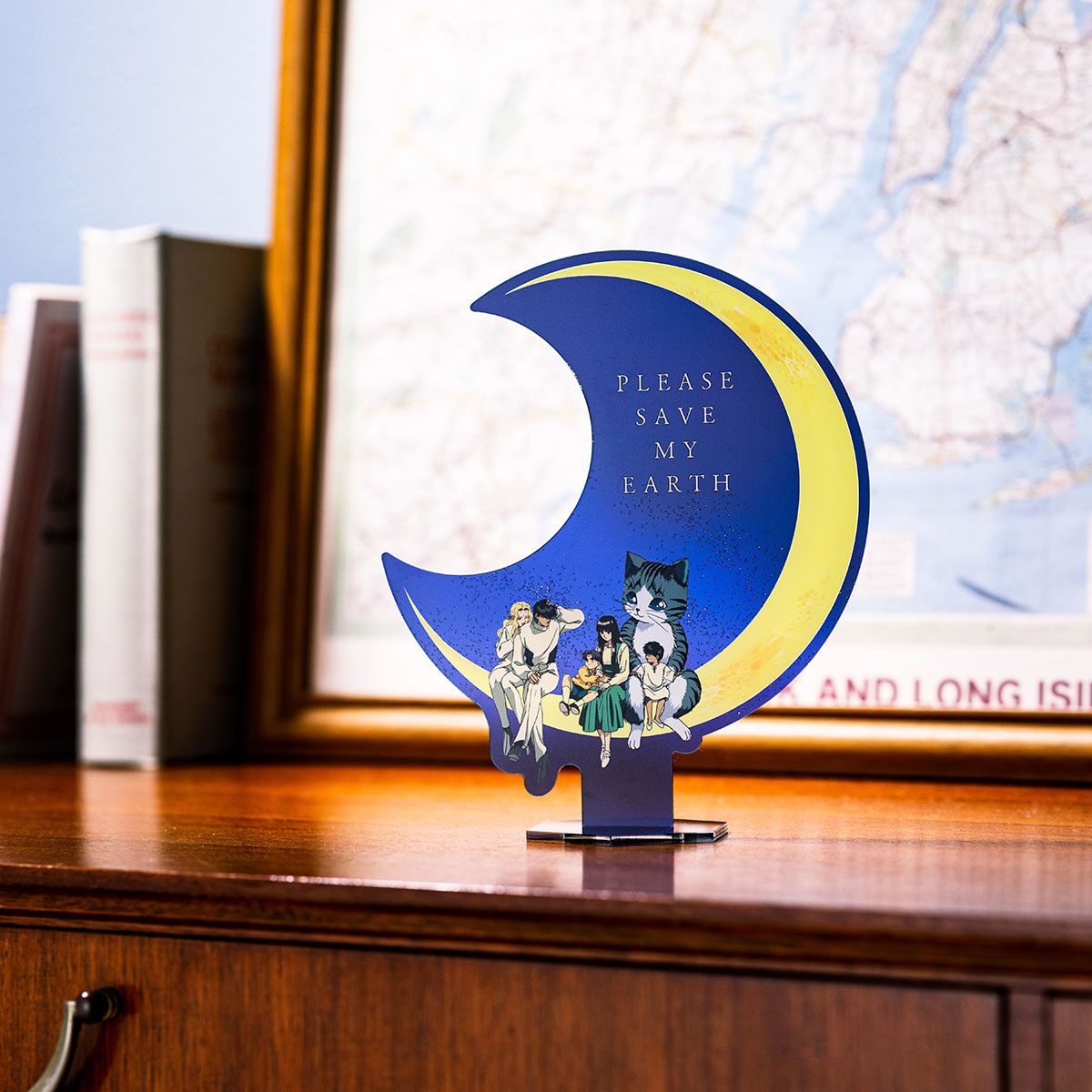 ぼくの地球を守って LIVE 〜BRIDGE of LIGHT〜