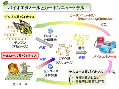 研究内容 / 反応プロセス工学分野 / 東北大学大学院工学研究科化学工学専攻