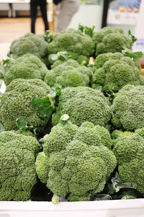 2024年7月6日JA全農長野 南佐久野菜トップセールス ｜ 東京シティ青果