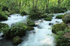 奥入瀬渓流－阿修羅の流れ周辺－九十九島｜青森県十和田市