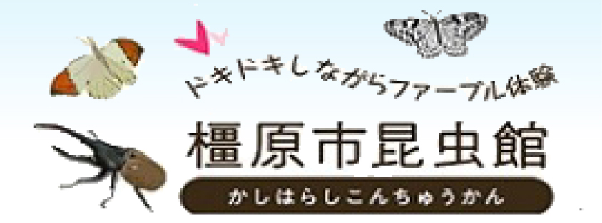 教育委員会／橿原市公式ホームページ