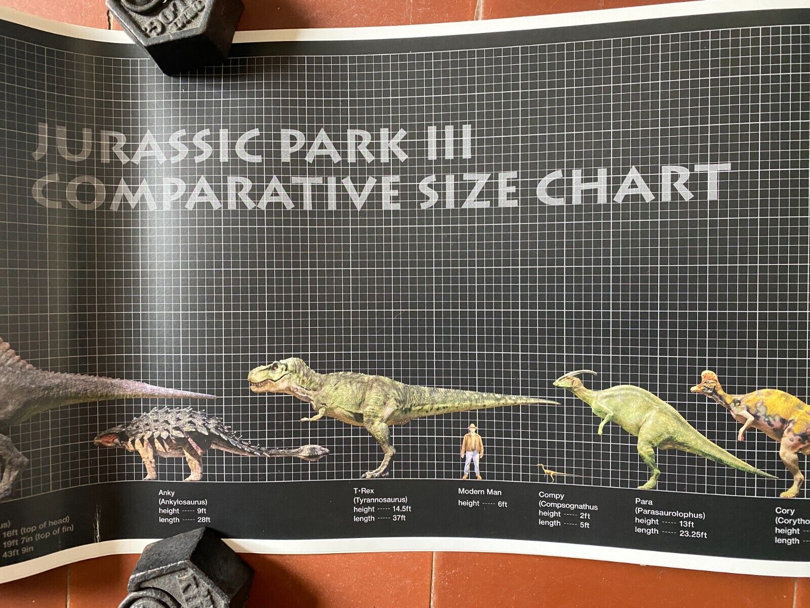 アメリカン ポスター ジュラシック パーク III 比較恐竜 サイズ表