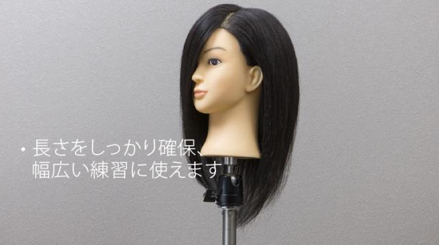 人気! B Type ウィッグ (100%人毛)! 10体セット + 送料無料! | Cutwig