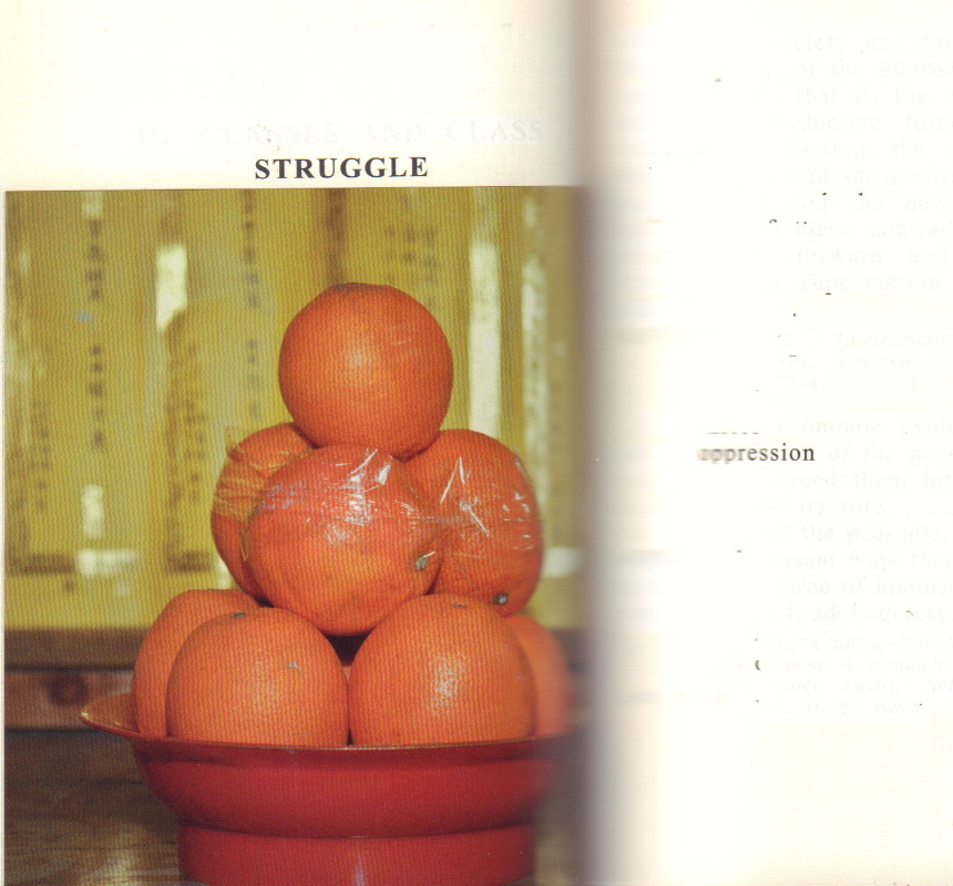 MIDDEL, Christina de. Quitonasto Form Chanmair Mao Tungest - Cult