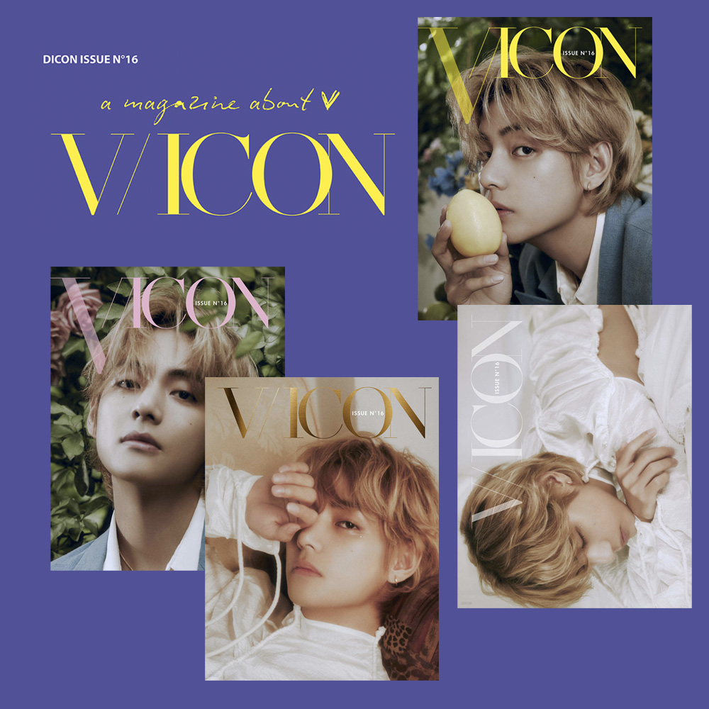 DICON テヒョン テテ 公式韓国版 BTS Dicon vol.10《韓国語版》☆