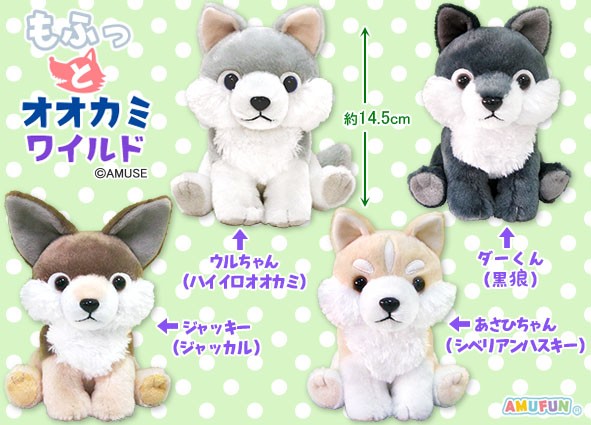 ≪8月の新商品≫もふっとオオカミワイルド☆アミューズプライズ-NEW