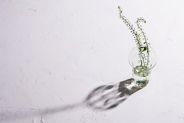 おおやぶみよ（沖縄県）｜しなもの｜雨晴/AMAHARE