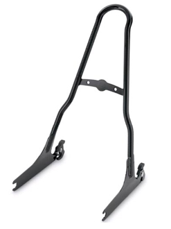 ワンピース・デタッチャブル・パッセンジャーシーシーバーアップライト