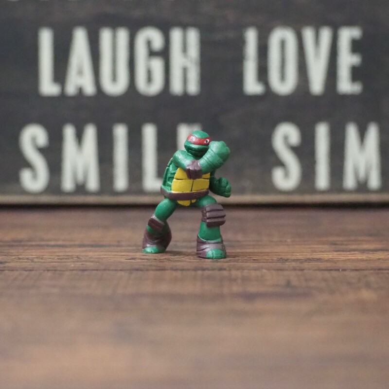 タートルズ フィギュア ミュータント・タートルズ