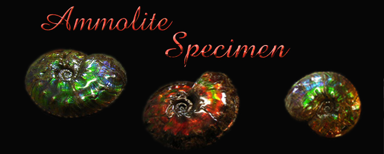 アンモライト原石 アルバータ州レスブリッジKORITE SITE | CHANTSITE