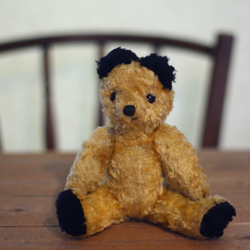 Sooty Bear/Antique Teddybear/ぬいぐるみ-/Antique toricoTte
