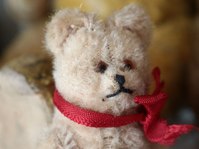 Antique toricoTte Antique Mini Berg Bear 4in/Austria/Antique