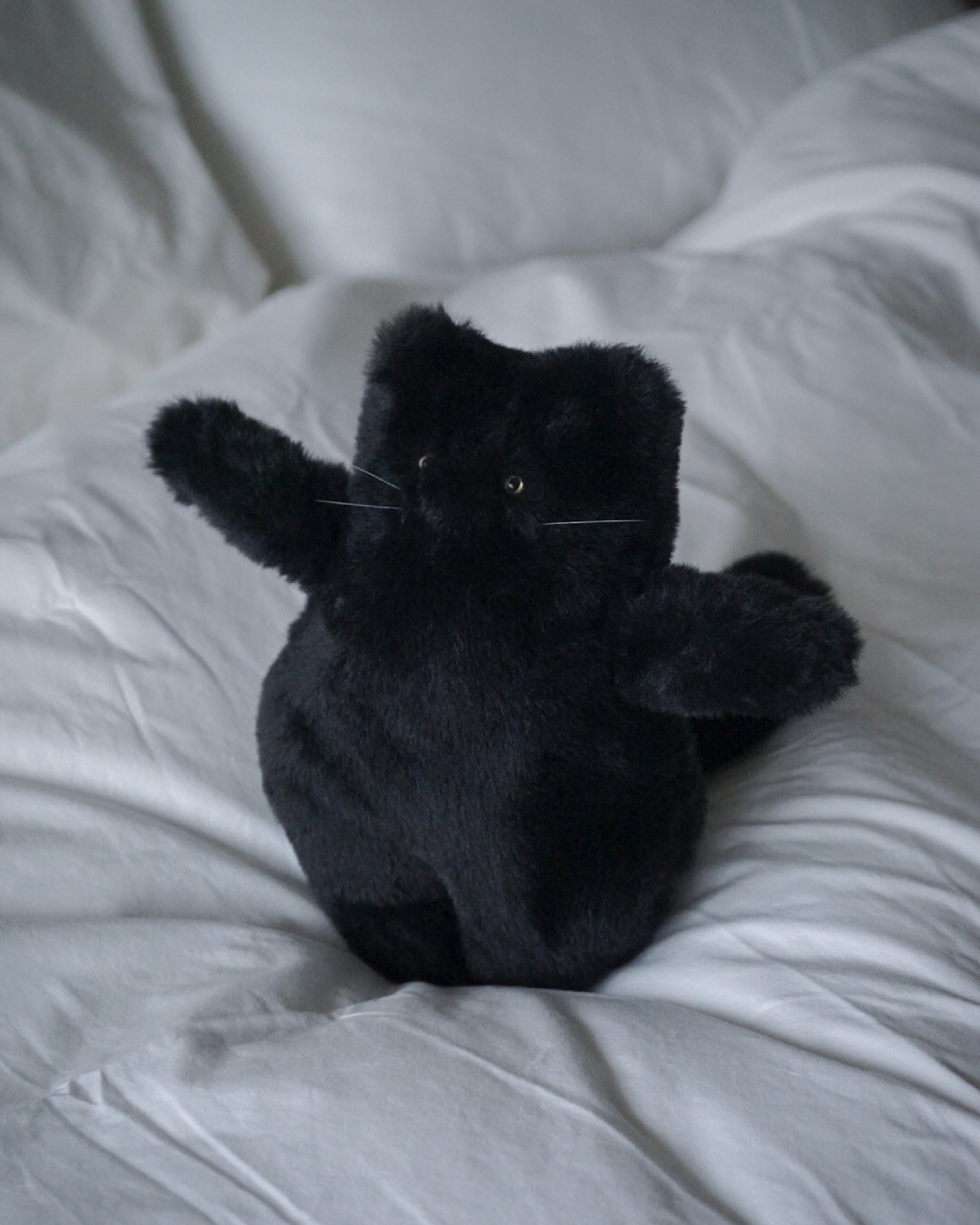 Tちゃん （Black ver.） ｜ 甘すぎない愛らしさ。ギフトにも人気の