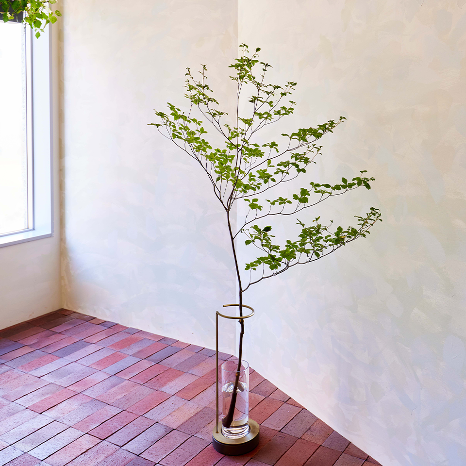 枝を気軽に楽しめる専用ベース「EDA VASE」 | 青山フラワーマーケット