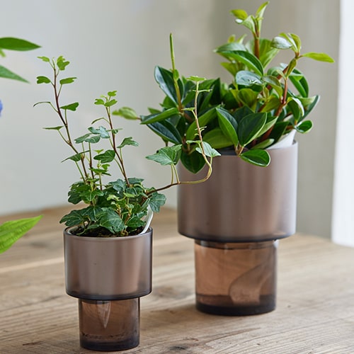 機能とデザインを両立する底面吸水ポット「sui sai−スイサイ