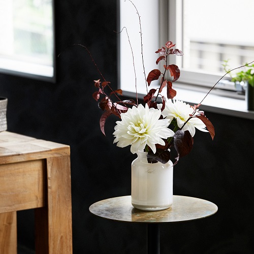 Henry Dean(ヘンリーディーン)/Bern H16 white | 青山フラワー