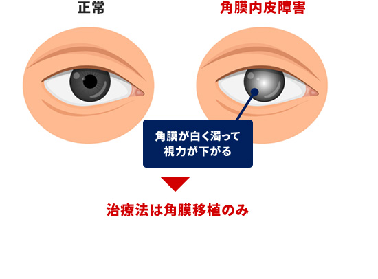事業内容 | アクチュアライズ株式会社