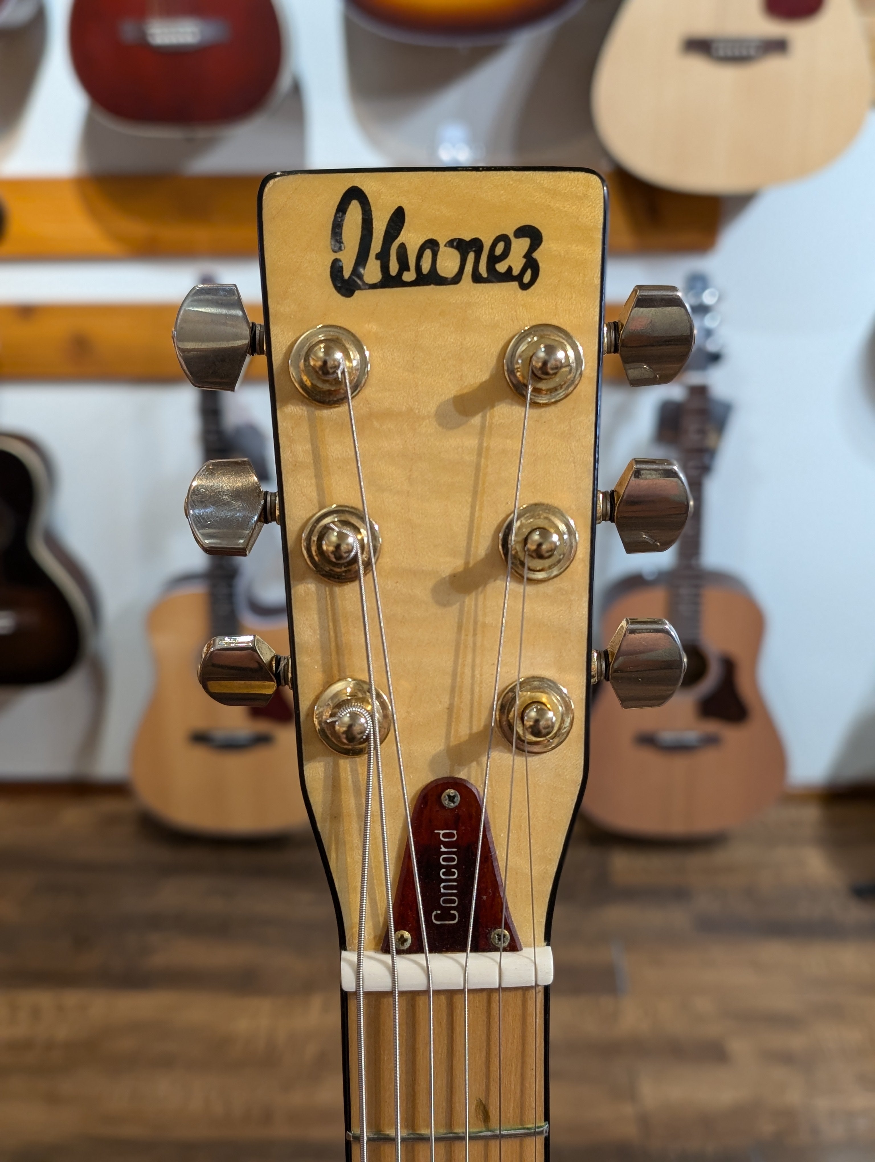 Ibanez Concord 670 Dreadnought Acoustic Guitar w/Gig Bag - Natural