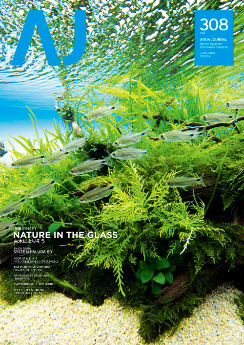 月刊アクアジャーナルVol.308 発売のお知らせ | ADA - NEWS RELEASE