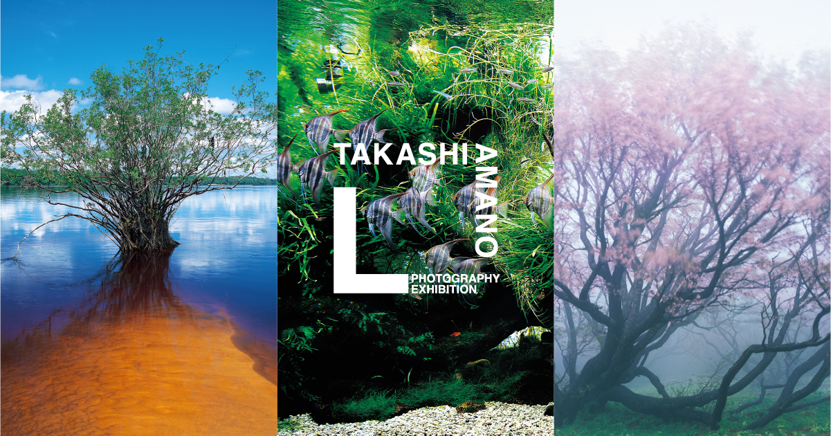 6/19追記】［ 天野 尚 没後10年追悼企画 ］ TAKASHI AMANO L