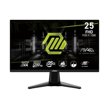 MSI MAG 255XFV 24.5