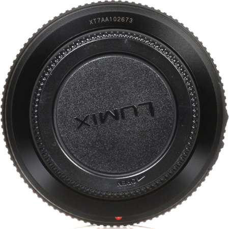 Panasonic LUMIX G Vario 100-300mm f/4.0-5.6 II Lens for Micro Four