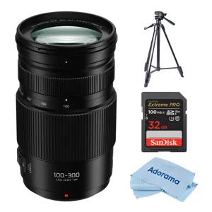 Panasonic LUMIX G Vario 100-300mm f/4.0-5.6 II Lens for MFT with