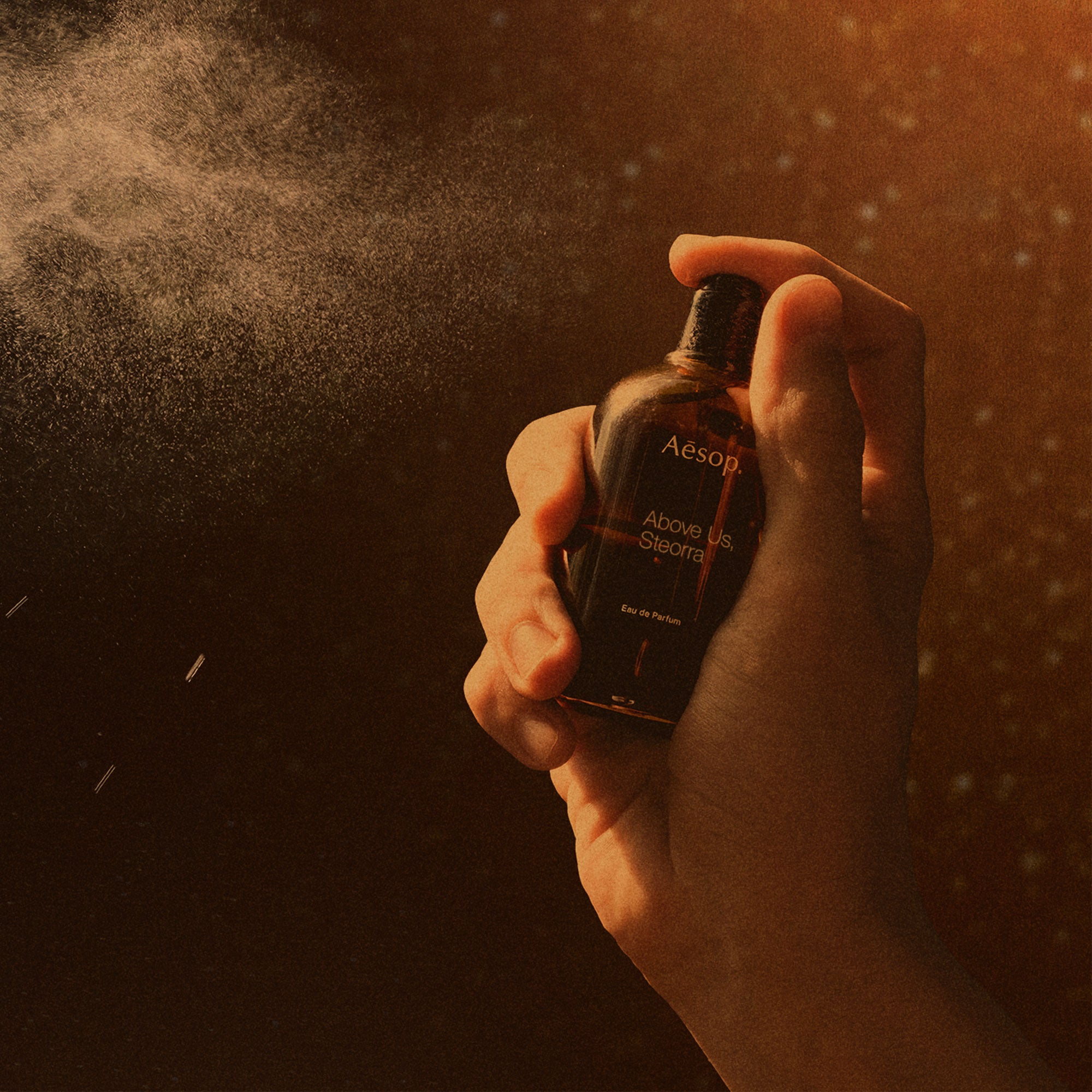 Above us Steorra eau de parfum – Aesop Singapore