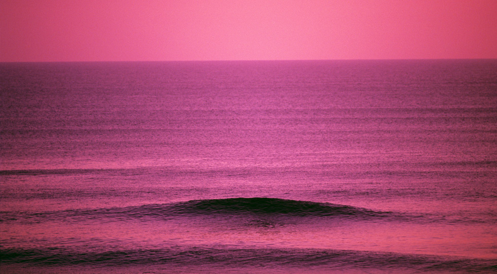 高砂 淳二 | 写真素材・ストックフォトのアフロ